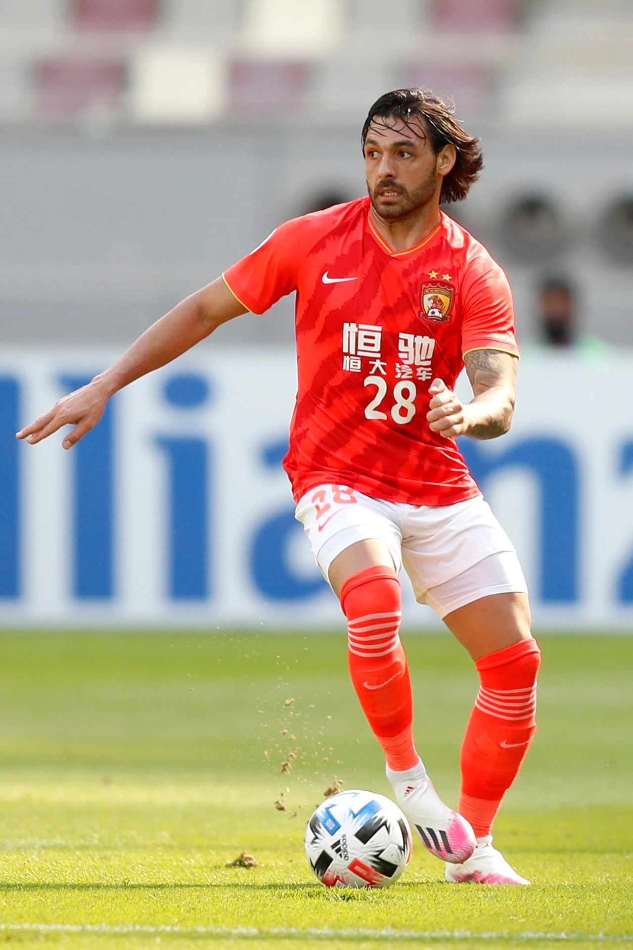 解密可可西里 解密可可西里